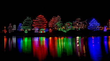 Trees with colorful holiday lights at night