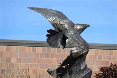 Bronze sculpture of an eagle. Windswept: This bronze sculpture of a soaring eagle was created by artist Patti Stajcar. It is displayed outside the public entrance to the Lenexa Police Department.