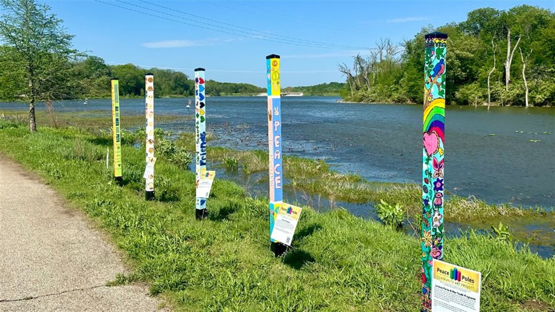 Five poles along shore at Lake Lenexa