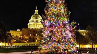Nighttime view of decorated Christmas tree in foreground with U.S. Capitol in background