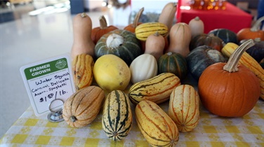 Various winter squash