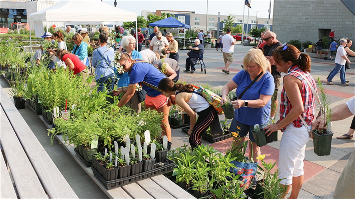 crowd of shoppers inspect plants at outdoor Native Plant Sale