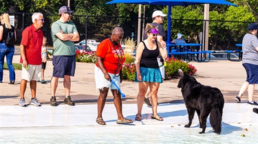 Women with black dog