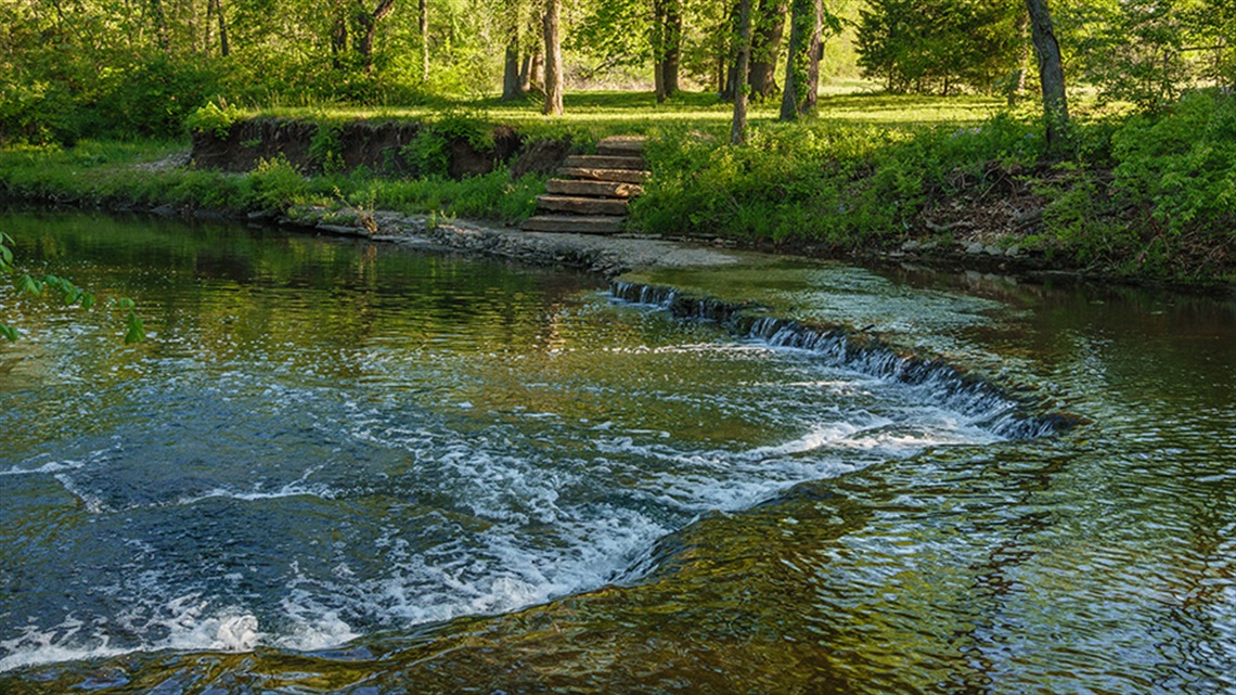 Beautiful water at park