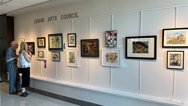 Senior Arts Council of Johnson County