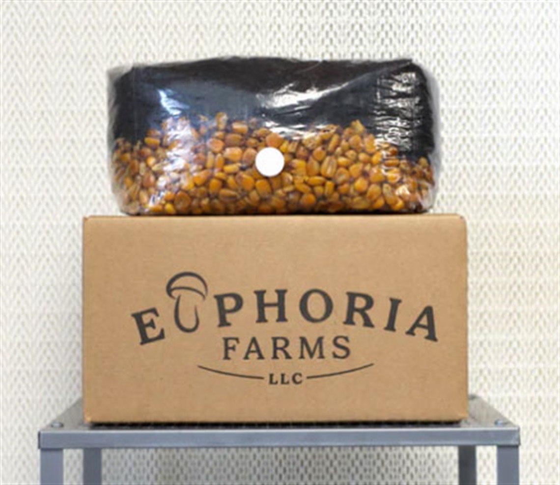 Euphoria Farms LLC box with mushroom grow kit sitting on top