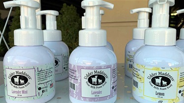 Bottles of foaming soap with hand pumps