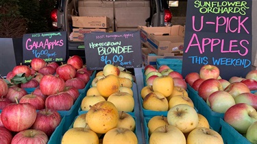 Display of various apples in cardboard baskets with price and type signs