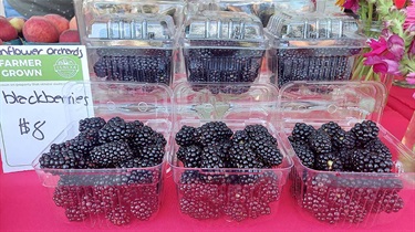 Blackberries in plastic clamshell packages