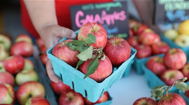 Closeup view of hand holding cardboard carton of Gala apples