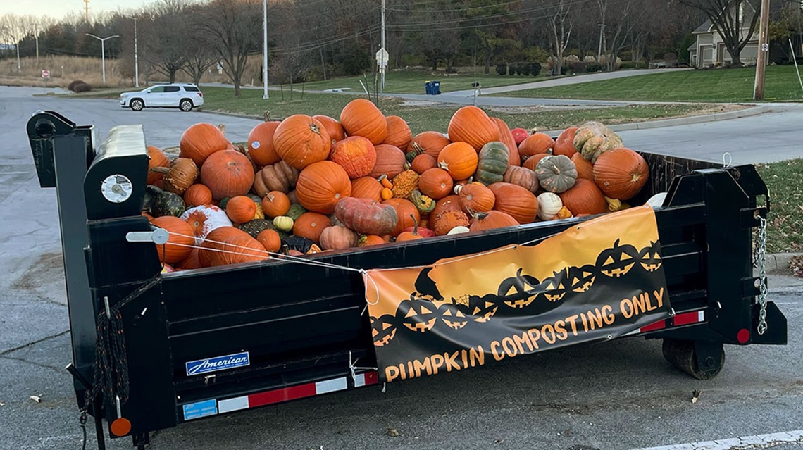 Dumpster full of decaying pumpkins ready to compost