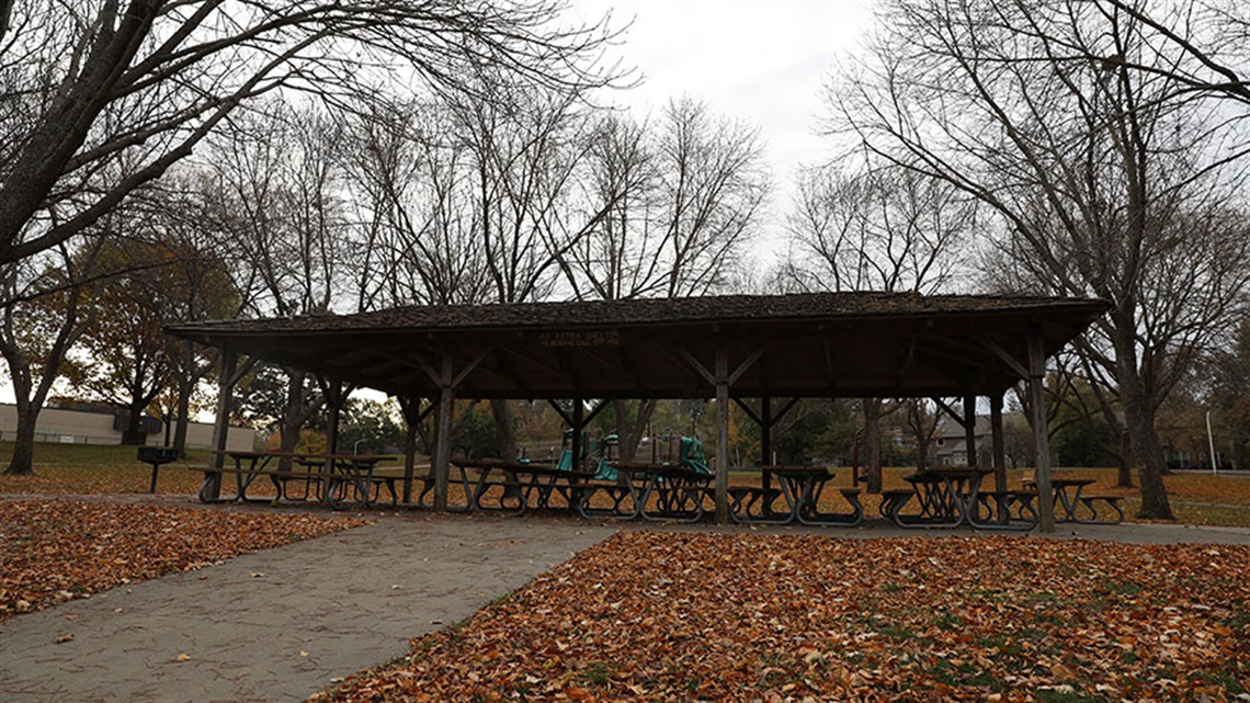 Outdoor park shelter