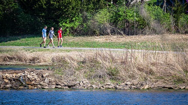 Trail near Mize Lake