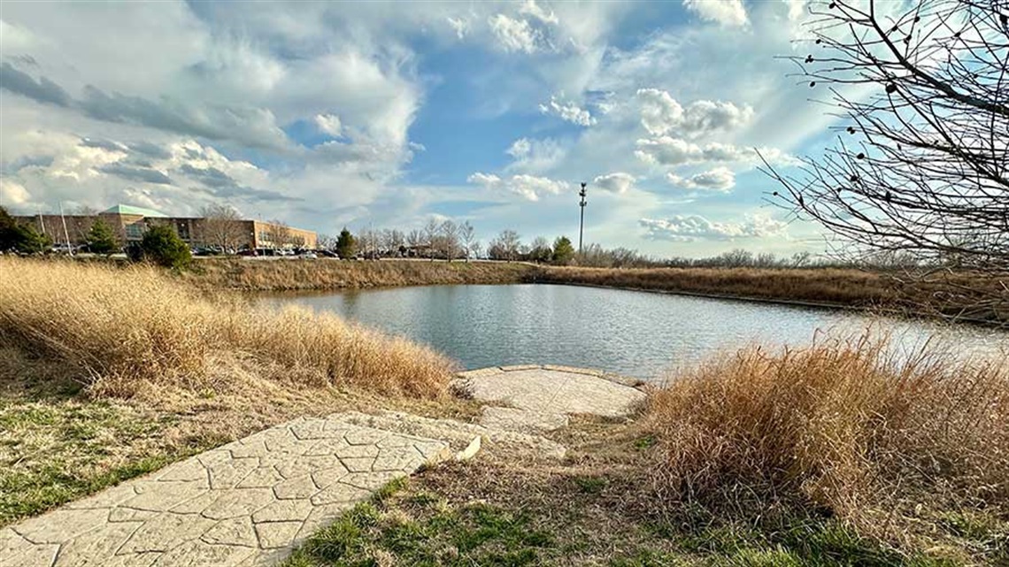 Ramp leading to pond