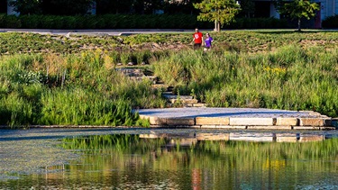 Trail near pond