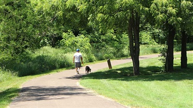 Trail