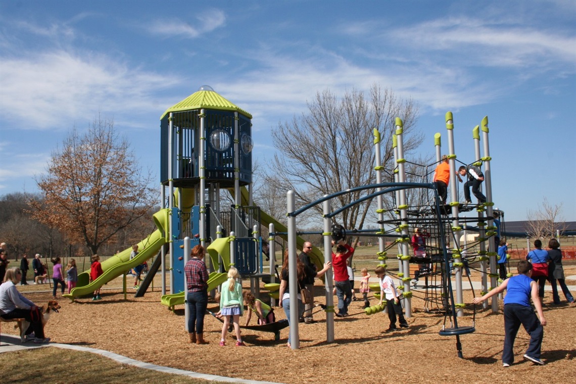 kids playing on a jungle gym