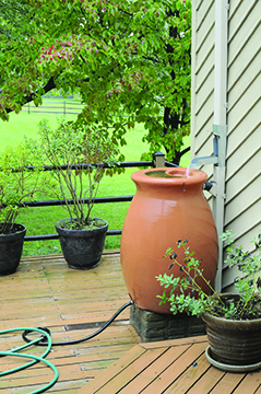 Rain barrel catching water with hose attached