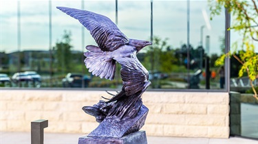 Bronze sculpture of an eagle. Windswept: This bronze sculpture of a soaring eagle was created by artist Patti Stajcar. It is displayed outside the public entrance to the Lenexa Justice Center.