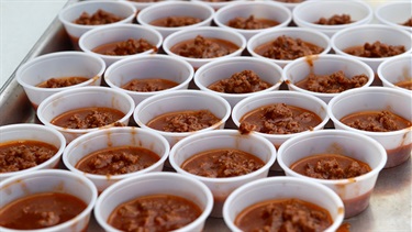 Tray of chili samples in small cups