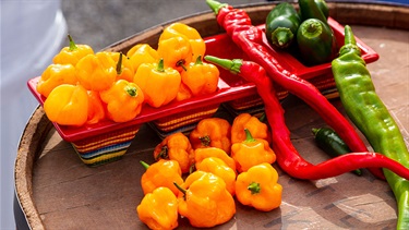 Various peppers on display