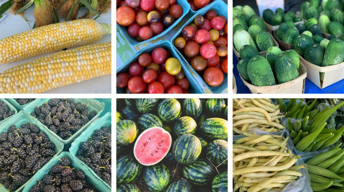 sweet corn, cherry tomatoes, pickling cucumbers, blackberreis, watermelon, yellow wax beans and okra
