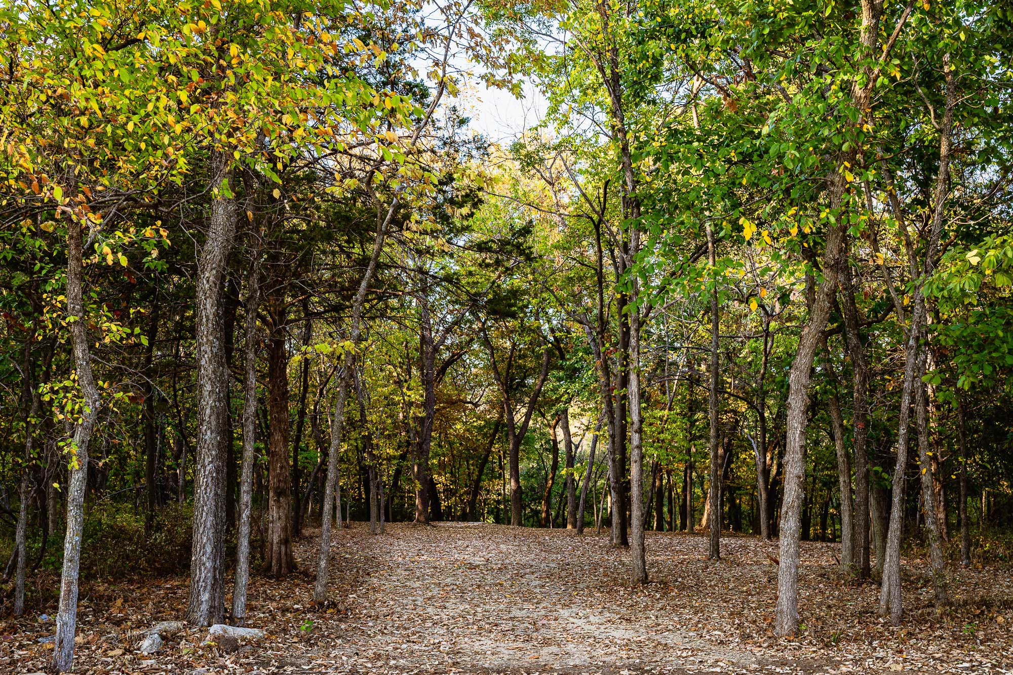 Heritage Forest Park - City of Lenexa, KS