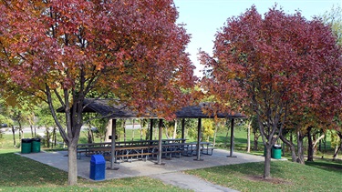 Park shelter amid trees with fall foliage