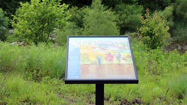 Walking tour sign surrounded by native plants