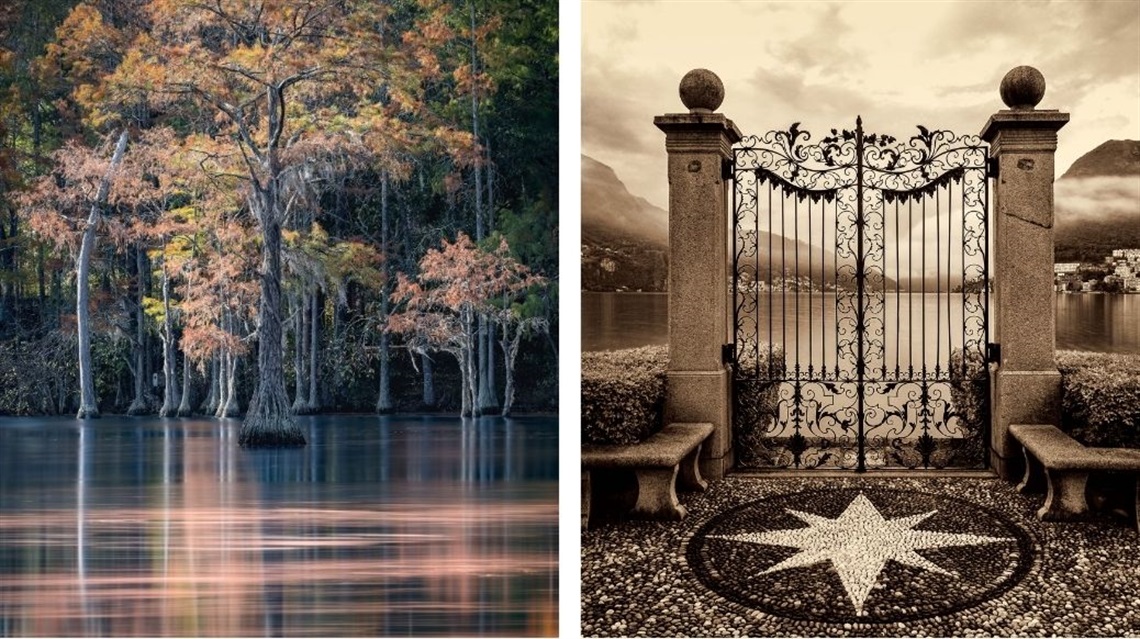 Photo collage of trees in water and an ornate fence gate