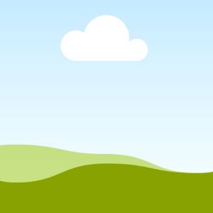Placeholder blank image