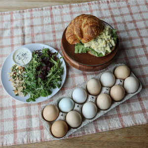 Egg salad on fresh croissant and Kansas harvest salad made by Homestead Kitchen + Bakery